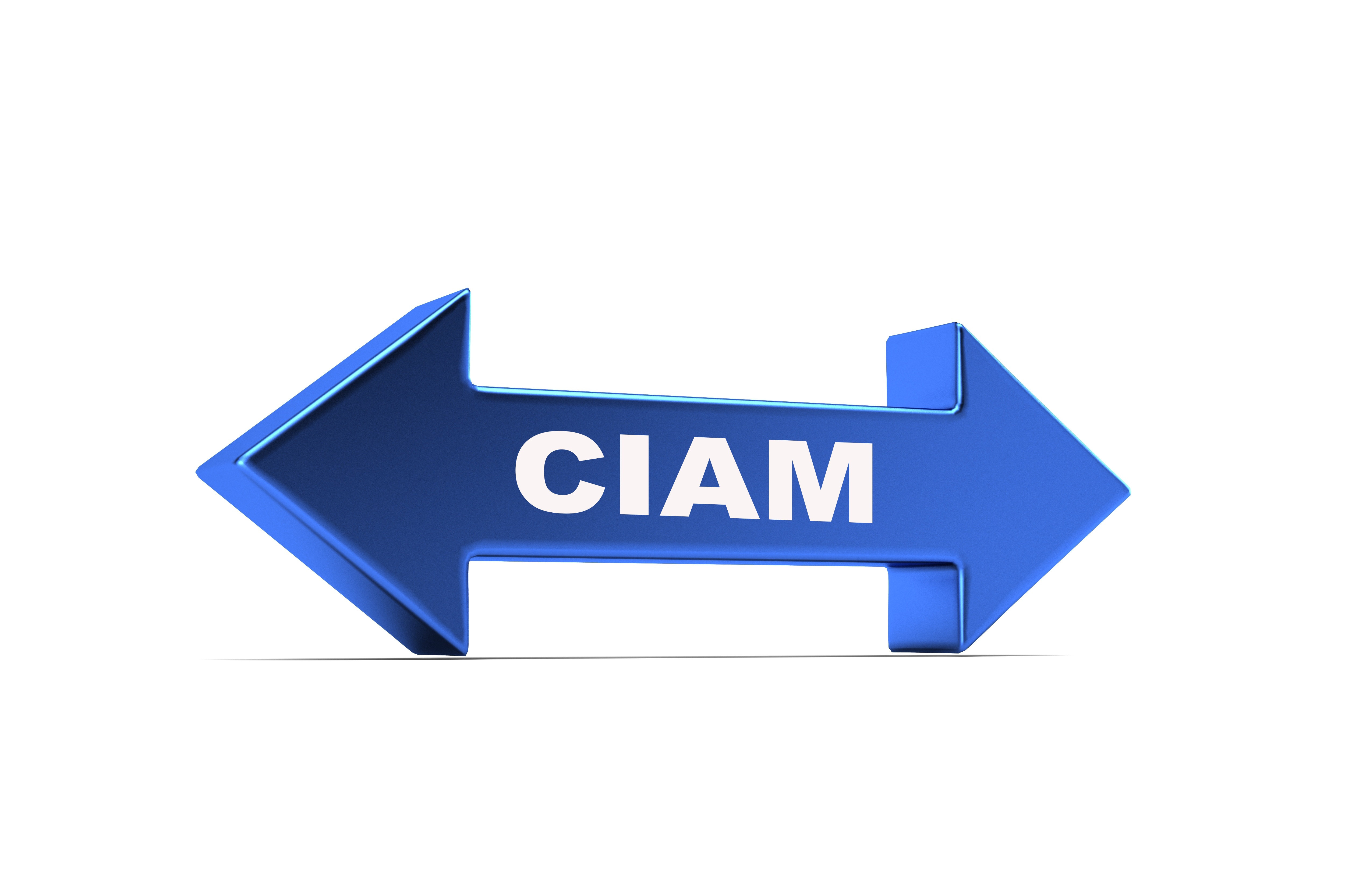 ciam double arrow connecting business outcomes and customer e